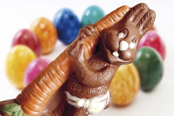 Framed Print : Chocolate Easter bunny with carrot Framed Print : Chocolate Easter bunny with carrot