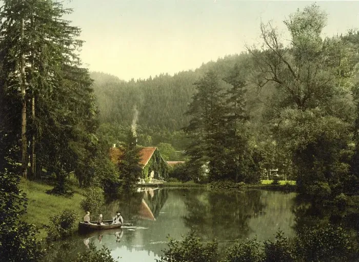 Framed Print : Christianental Game Park near Wernigerode in the Harz Mountains