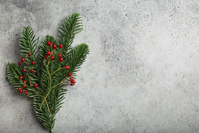 Framed Print : Christmas and New Year flat lay composition frame with green fir tree branch Framed Print : Christmas and New Year flat lay composition frame with green fir tree branch