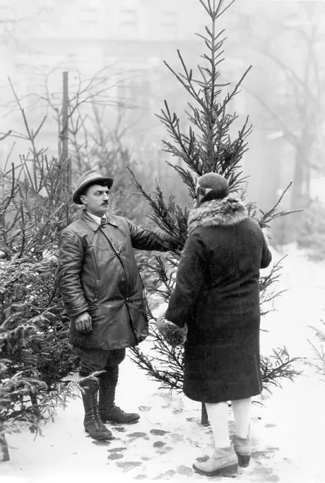 Framed Print : Christmas tree for sale ca. 1930