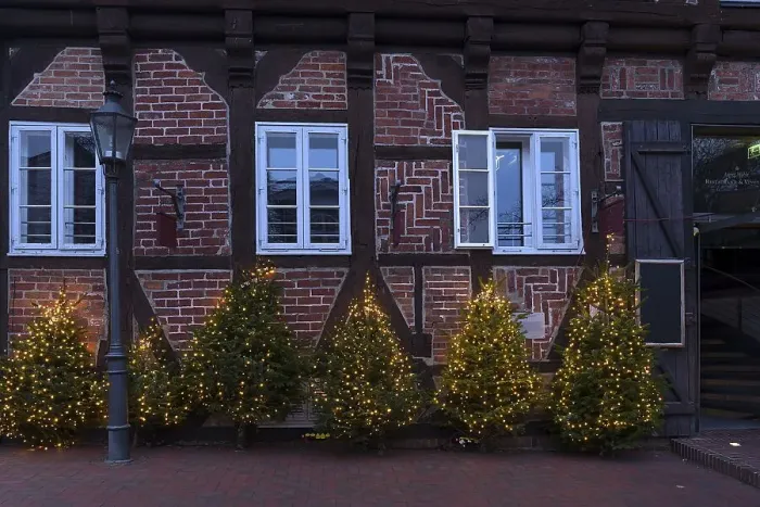 Framed Print : Christmas trees illuminated in front of a historic Witshaus