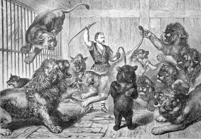 Framed Print : Circus, tamer in lion cage tries to tame lion pride Framed Print : Circus, tamer in lion cage tries to tame lion pride