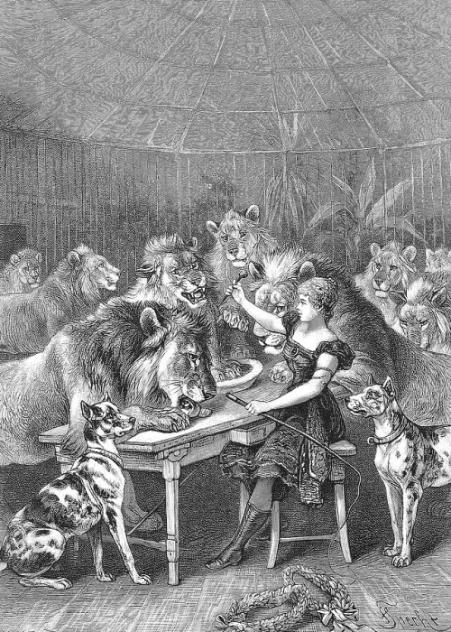 Framed Print : Circus tamer with lions and dogs in a cage