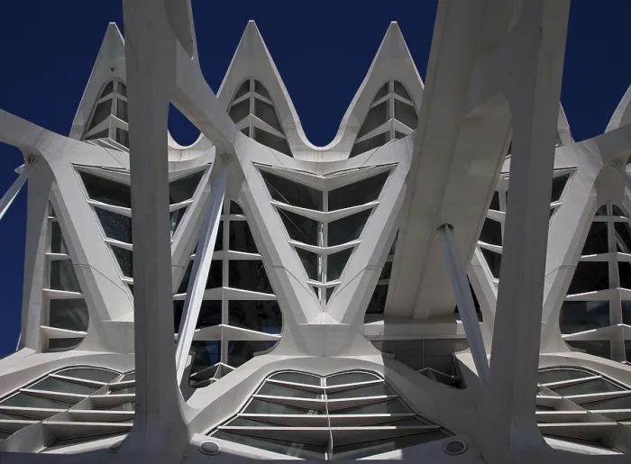 Framed Print : City of Arts and Sciences (cat) Framed Print : City of Arts and Sciences (cat)