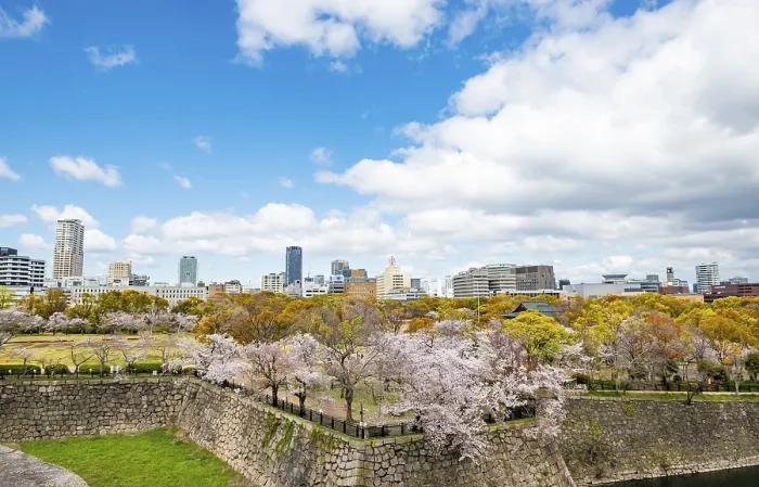Framed Print : City view with skyscrapers and park on castle wall with cherry blossoms