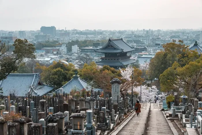Framed Print : City view with temple and cemetery of the cherry blossom