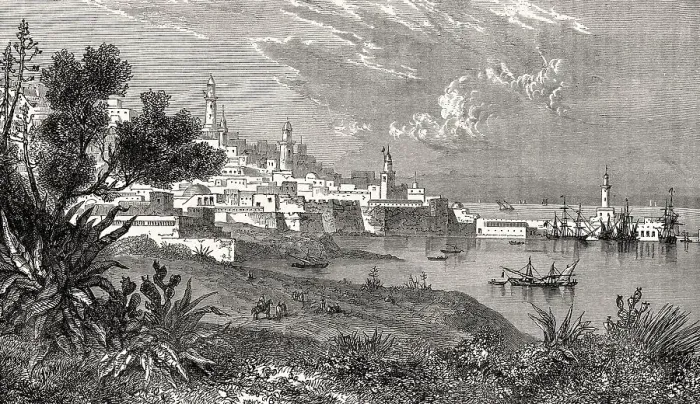 Framed Print : Cityscape of Algiers, Algeria, 19th century Framed Print : Cityscape of Algiers, Algeria, 19th century