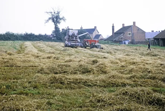 Framed Print : Claas combine harvester harvesting in a field with tractor and trailer, England, UK 1968 Framed Print : Claas combine harvester harvesting in a field with tractor and trailer, England, UK 1968