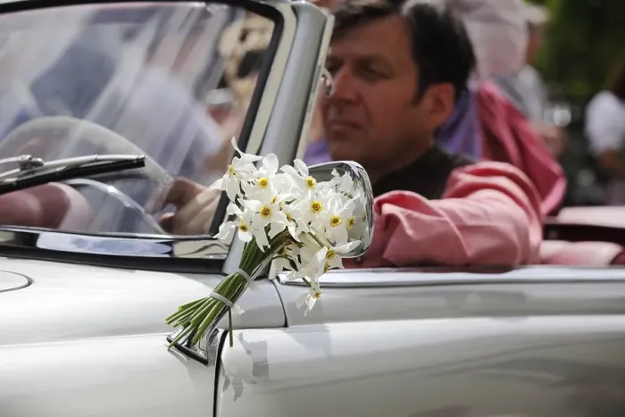 Framed Print : Classic car decorated with a bunch of daffodils Framed Print : Classic car decorated with a bunch of daffodils