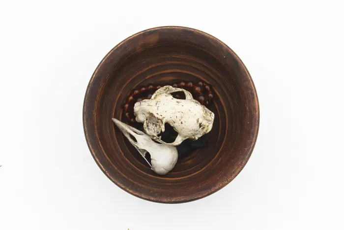 Framed Print : Clay plate with cat and bird skulls on white