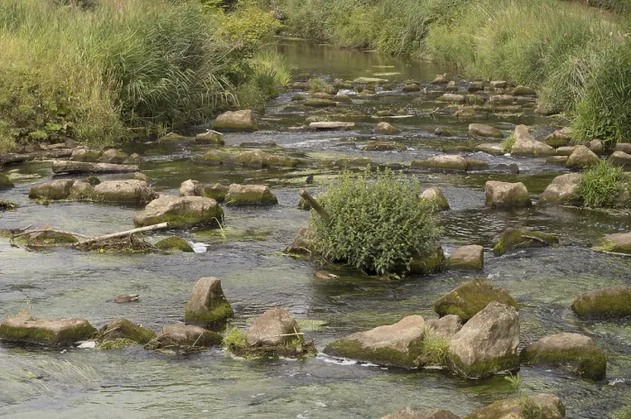 Framed Print : Clean river water flowing over rocks and green algae in a sunny summer day