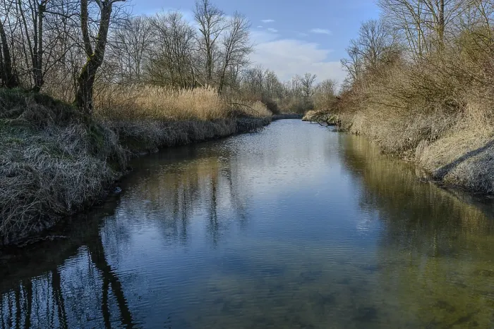 Framed Print : Clear water of a river with reflection of trees and sky in quiet surroundings Framed Print : Clear water of a river with reflection of trees and sky in quiet surroundings