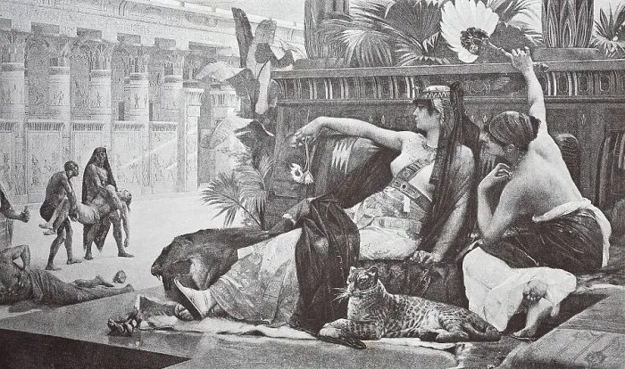 Framed Print : Cleopatra VII Philopator was the last active ruler of the Ptolemaic Kingdom of Egypt