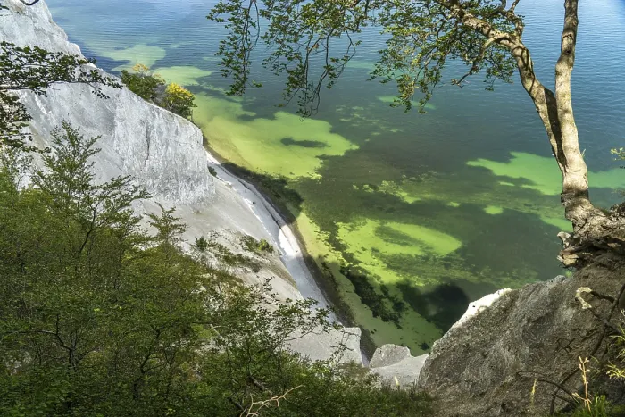 Framed Print : Cliffs and chalk cliffs Mons Klint