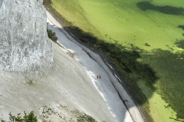 Framed Print : Cliffs and chalk cliffs Mons Klint Framed Print : Cliffs and chalk cliffs Mons Klint