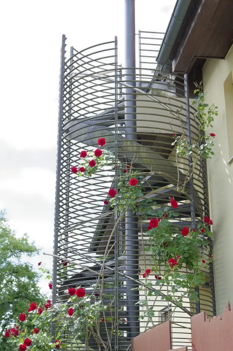 Framed Print : Climbing roses, spiral staircase