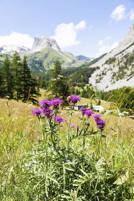 Framed Print : Close to Bardonecchia, Piemonte Region