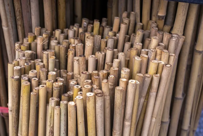 Framed Print : Close up full frame texture of vertical dry brown bamboo poles arranged as a natural fence