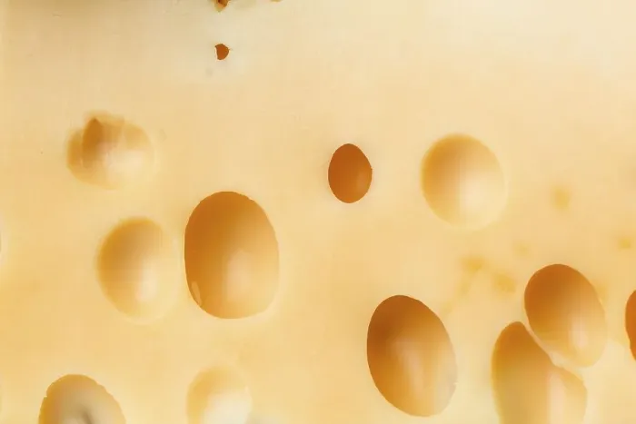 Framed Print : Close up gourmet emmental cheese