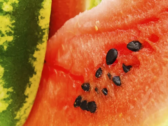 Framed Print : Close Up Photo Of The Red Watermelon With Dark Seeds Daugavpils