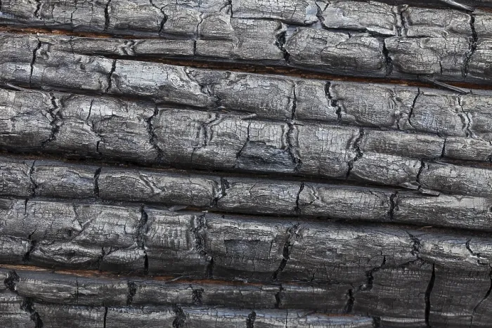 Framed Print : Close-up of a charred tree trunk burnt by a forest fire