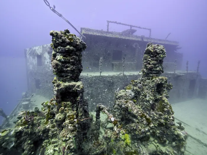 Framed Print : Close-up of a coral-covered shipwreck on the seabed Framed Print : Close-up of a coral-covered shipwreck on the seabed