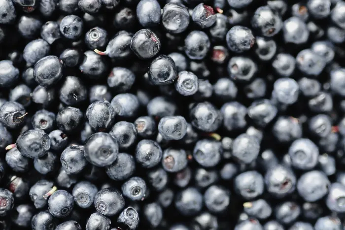 Framed Print : A close-up image of a collection of plump fresh blueberries