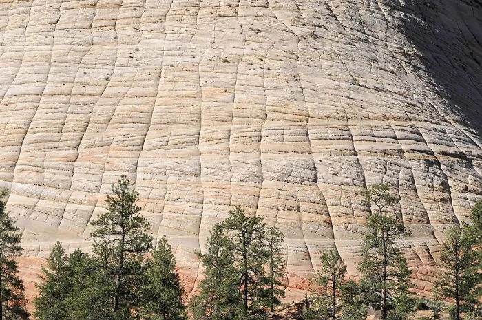 Framed Print : Close-up of a sculpted rock surface with pine trees at the base Framed Print : Close-up of a sculpted rock surface with pine trees at the base