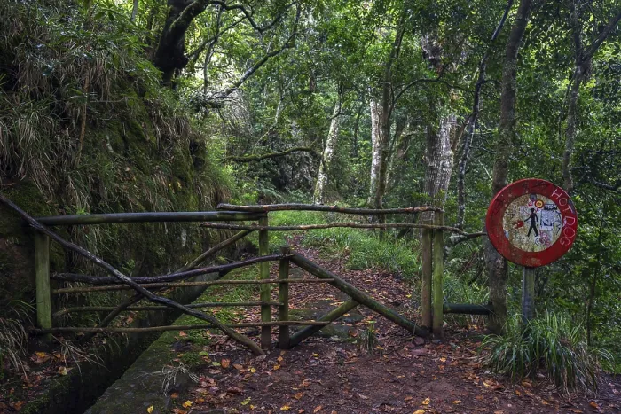 Framed Print : Closed path on the PR11 Vereda dos Balcoes hiking trail through laurel forest to the Miradouro Balcoes viewpoint