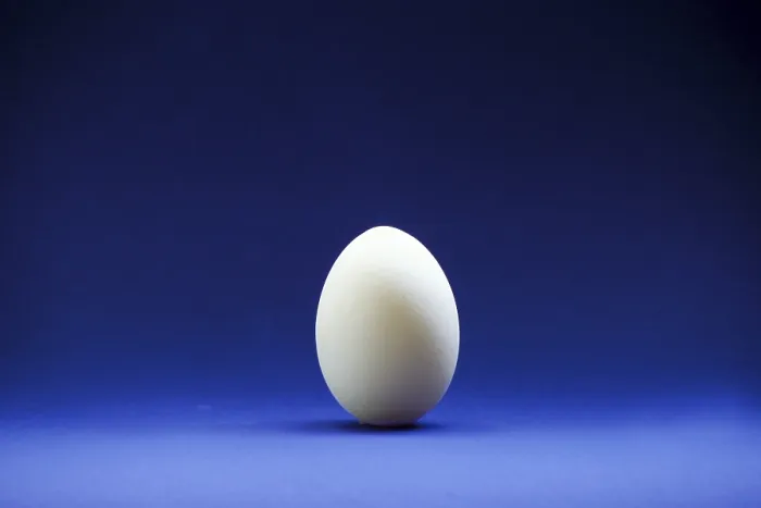 Framed Print : Closeup of one single hen's egg Framed Print : Closeup of one single hen's egg