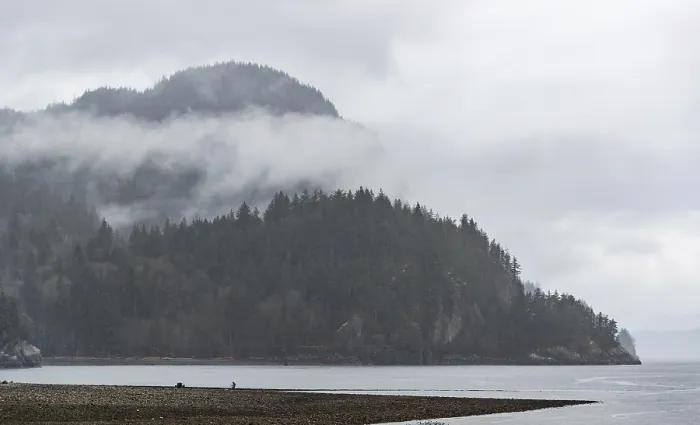 Framed Print : Cloud-covered mountains with tree-lined shore and tranquil misty waters along the Lower Mainland of British Columbia Framed Print : Cloud-covered mountains with tree-lined shore and tranquil misty waters along the Lower Mainland of British Columbia