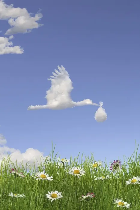 Framed Print : Cloud formation forming the shape of a stork bringing a baby in the sky above a flowering meadow