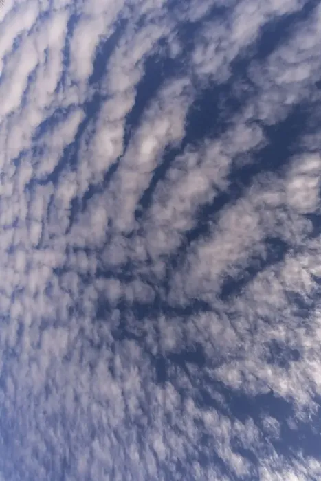 Framed Print : Cloud formations (Altocumulus undulatus) Framed Print : Cloud formations (Altocumulus undulatus)