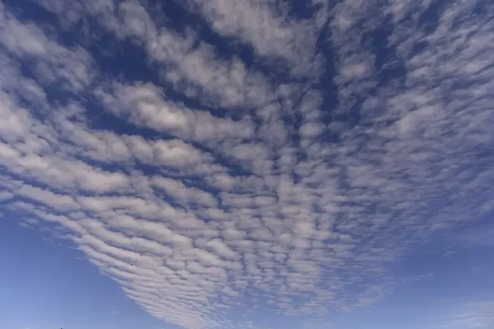 Framed Print : Cloud formations (Altocumulus undulatus) Framed Print : Cloud formations (Altocumulus undulatus)