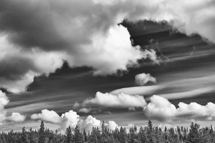 Framed Print : Cloudy sky over boreal coniferous forest Framed Print : Cloudy sky over boreal coniferous forest