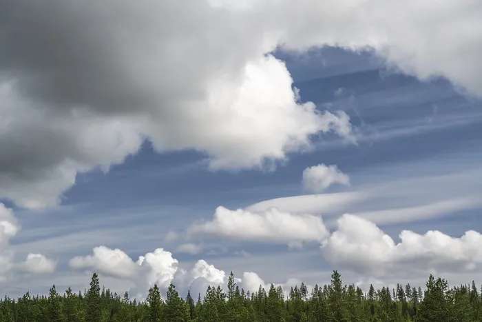 Framed Print : Cloudy sky over boreal coniferous forest Framed Print : Cloudy sky over boreal coniferous forest