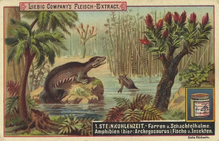 Framed Print : Coal age, ferns and horsetail, amphibians