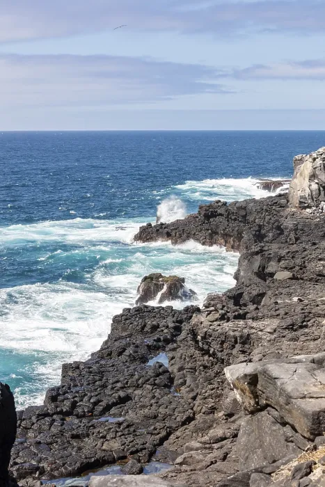 Framed Print : Coast, Galapagos, Ecuador