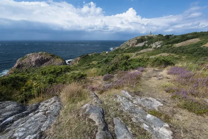 Framed Print : Coast, Kullaberg Nature Reserve