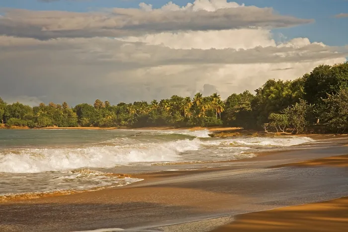 Framed Print : Coast at Plage de Cluny, Anse du Vieux Fort