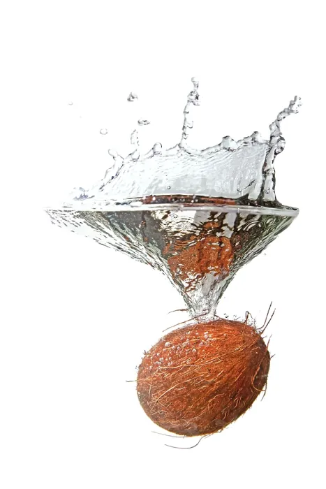 Framed Print : Coconut in water splash isolated on white background Framed Print : Coconut in water splash isolated on white background