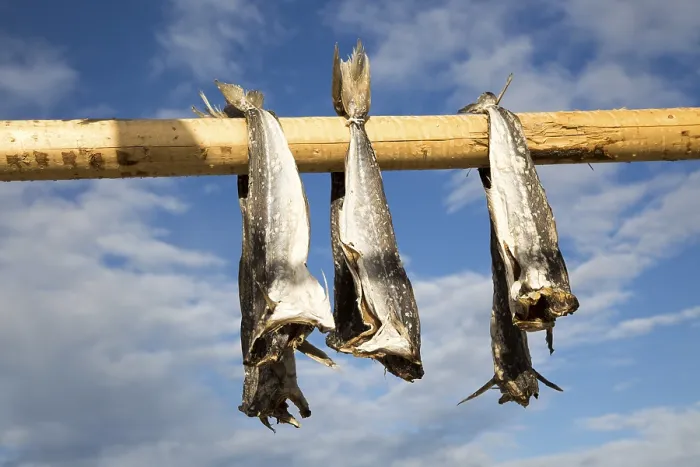 Framed Print : Cod fish drying outside on wooden pole Framed Print : Cod fish drying outside on wooden pole