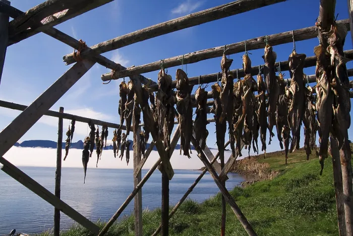 Framed Print : Cod hung to dry, Kangerluk, Greenland