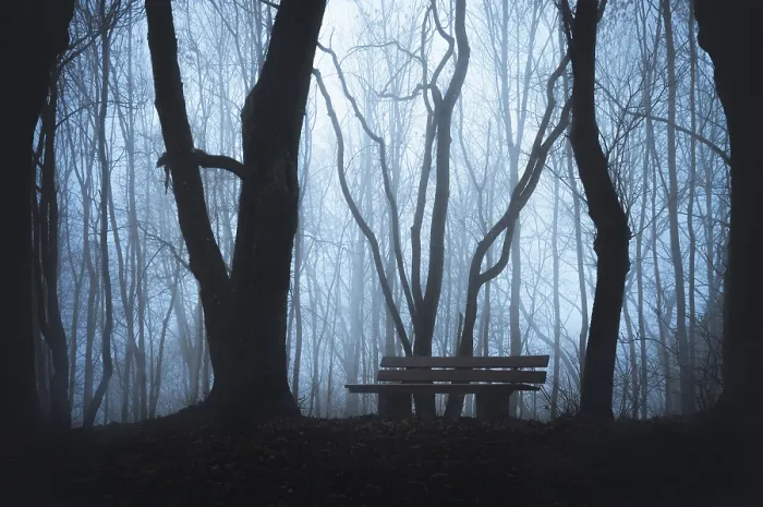 Framed Print : Cold fall landscape with a wooden bench in a forest