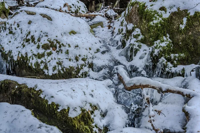 Framed Print : In a cold forest, water flows between rocks and is covered with snow and ice
