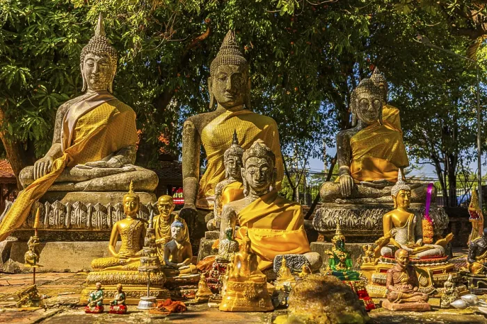 Framed Print : Collection of large and small Buddha statues decorated with yellow cloths Framed Print : Collection of large and small Buddha statues decorated with yellow cloths