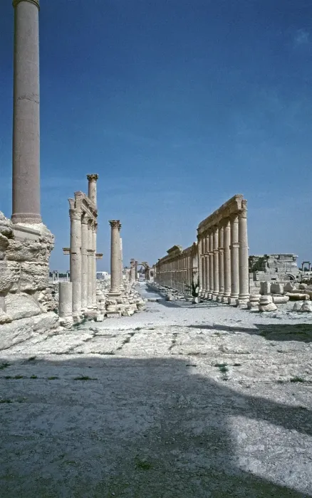 Framed Print : Colonnade, Palmyra, Syria, May 1987, vintage, retro, old, historical, Asia Framed Print : Colonnade, Palmyra, Syria, May 1987, vintage, retro, old, historical, Asia