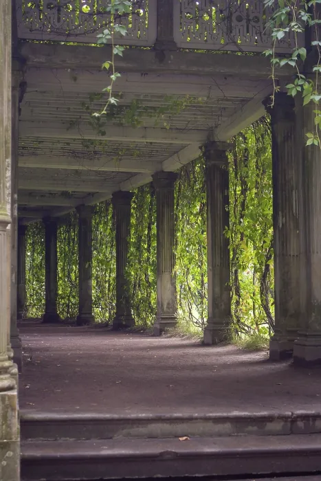 Framed Print : Colonnade in the park, selective focus