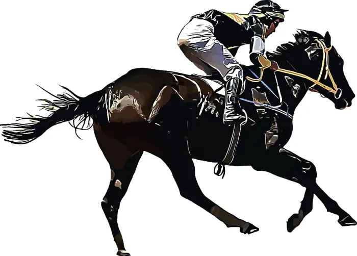 Framed Print : Color image of a racehorse with a jockey