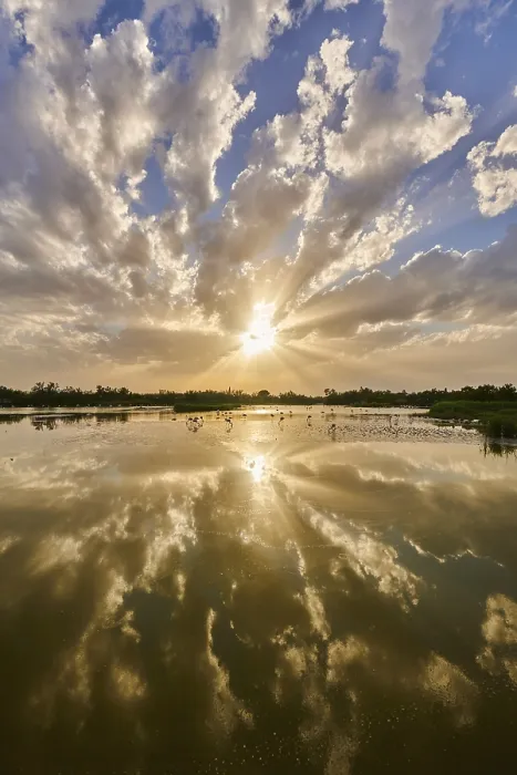 Framed Print : Colored Clouds above a lake with greater Flamingo (Phoenicopterus roseus) at sunset Framed Print : Colored Clouds above a lake with greater Flamingo (Phoenicopterus roseus) at sunset